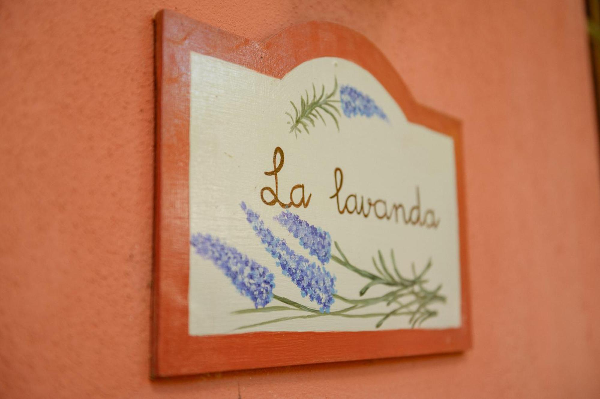 Homeforguest Cosy Rural Flat La Lavanda Surrounded By Nature Tacoronte Kültér fotó