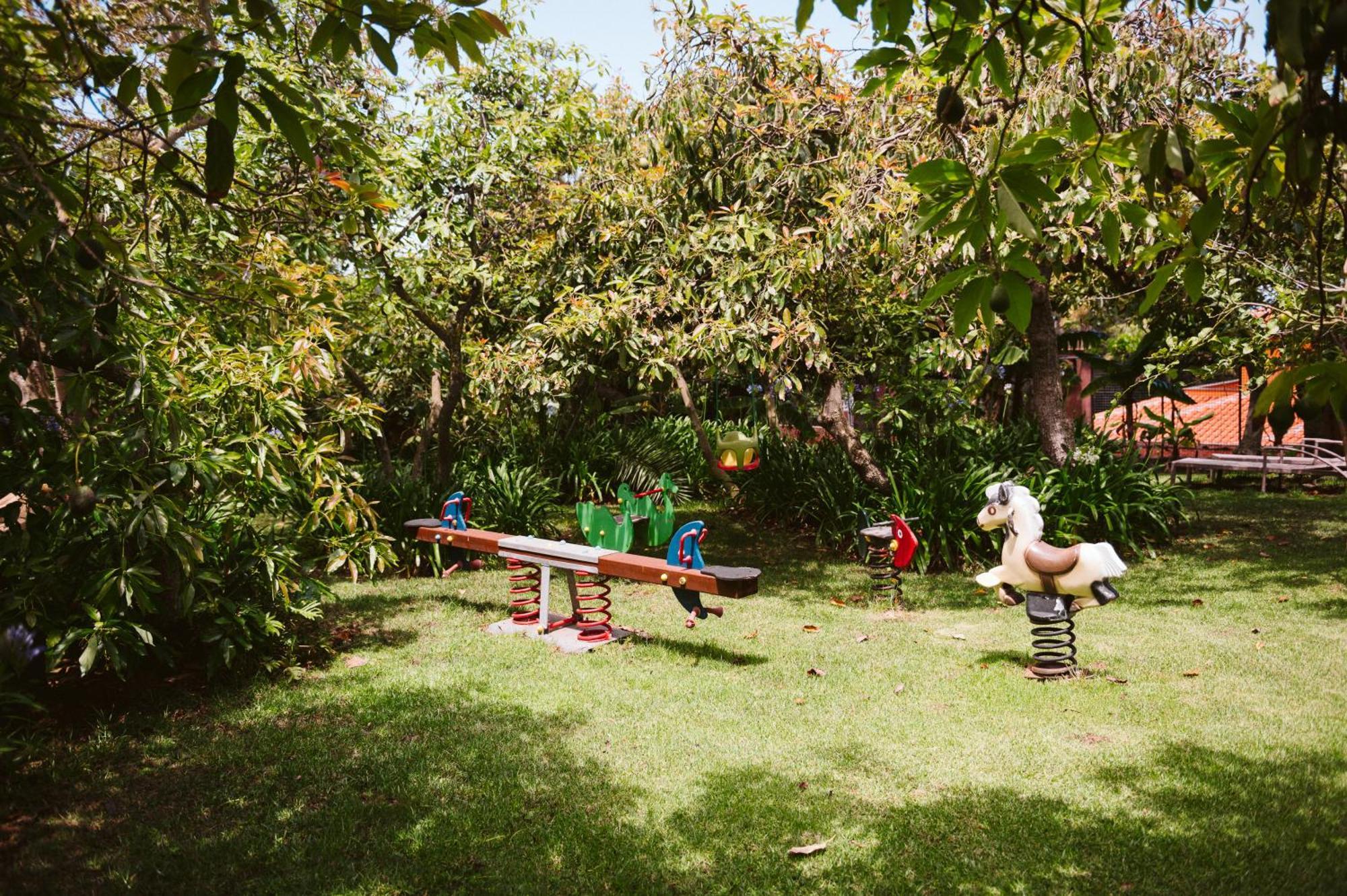 Homeforguest Cosy Rural Flat La Lavanda Surrounded By Nature Tacoronte Kültér fotó